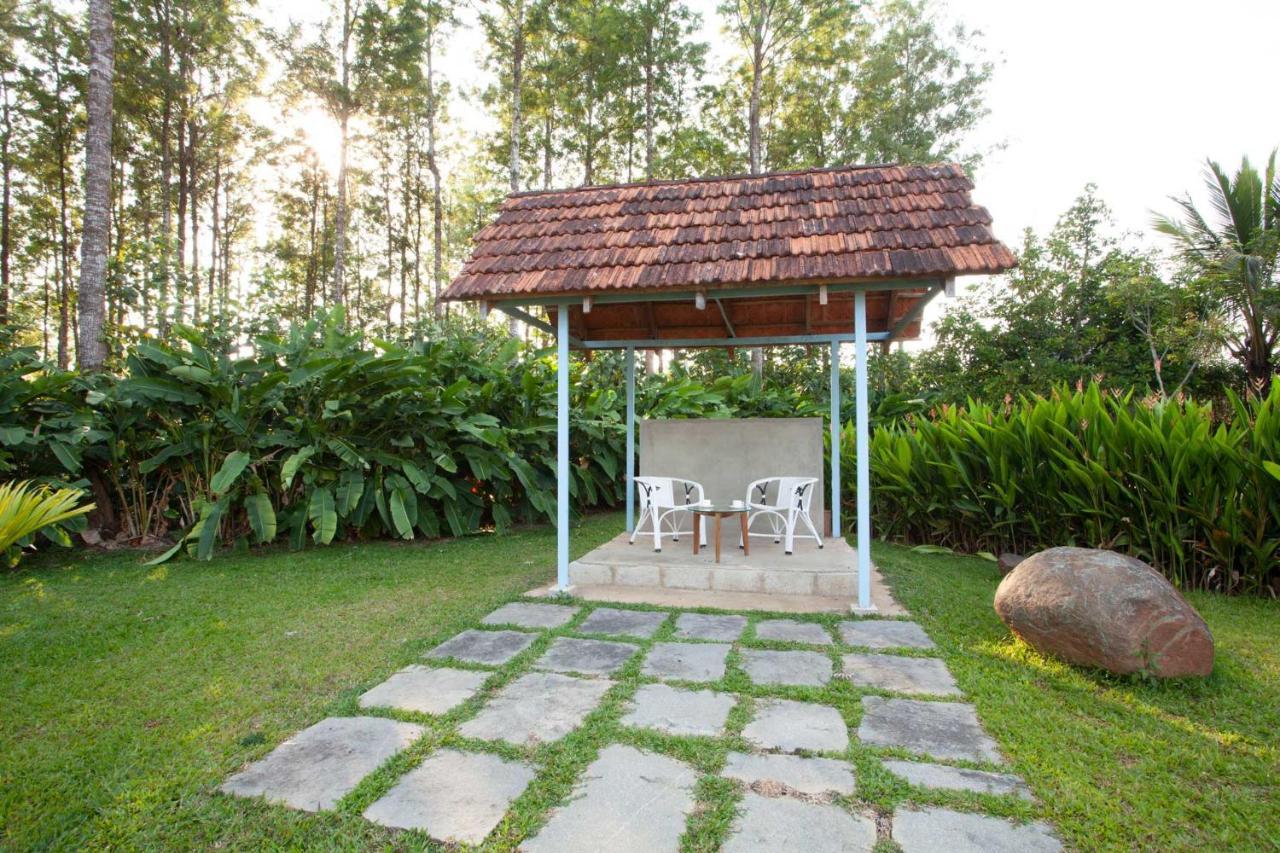 Stayvista At Cedar - Strelitzia 2Bhk With Breakfast And Jacuzzi Chikmagalūr Eksteriør billede