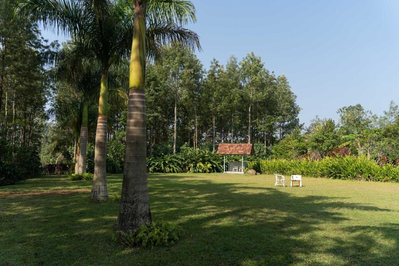 Stayvista At Cedar - Strelitzia 2Bhk With Breakfast And Jacuzzi Chikmagalūr Eksteriør billede